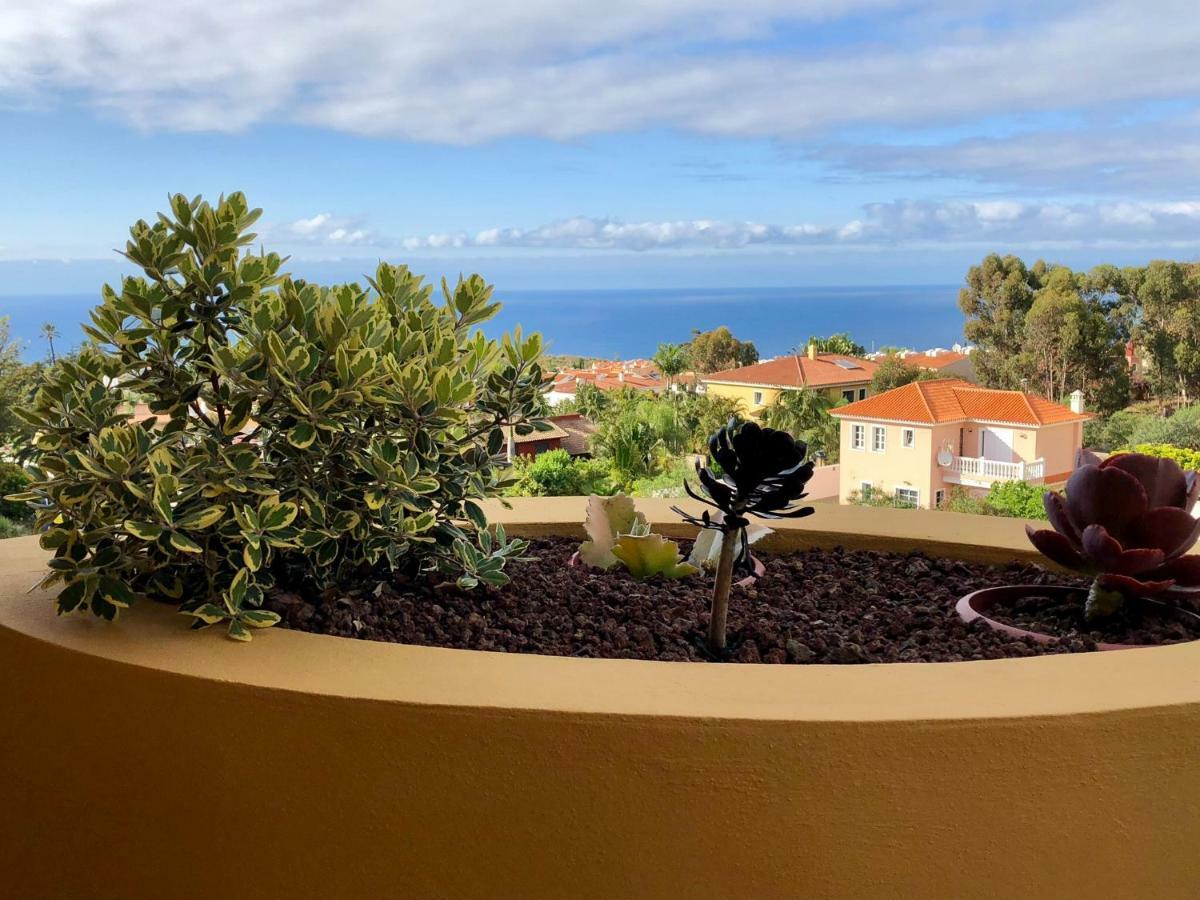 Santa Úrsula Terraza Vista Oceano La Quinta 아파트 외부 사진