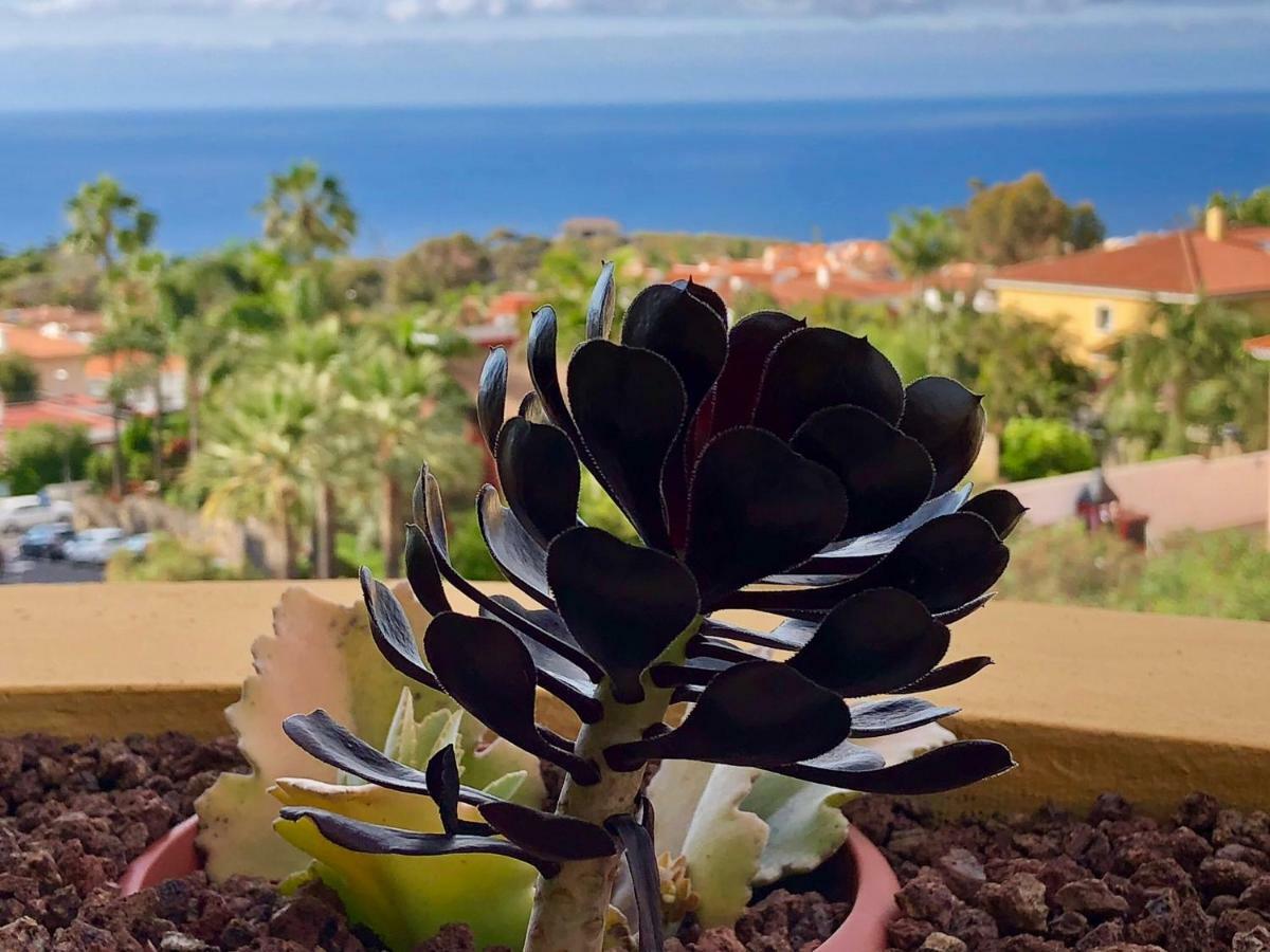 Santa Úrsula Terraza Vista Oceano La Quinta 아파트 외부 사진